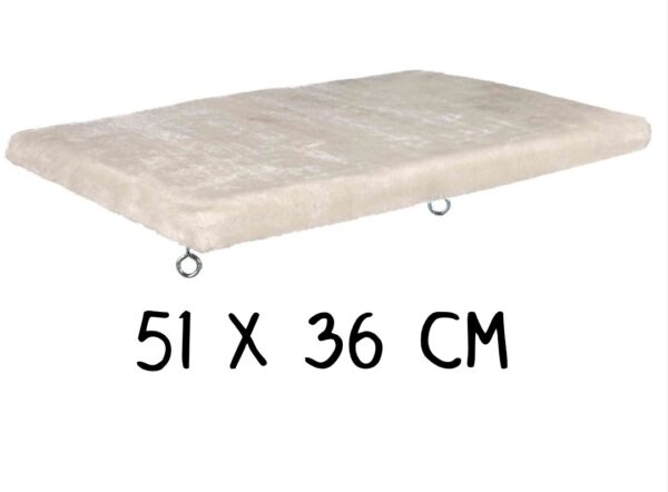 Stevig Kattenligbed voor het Raam