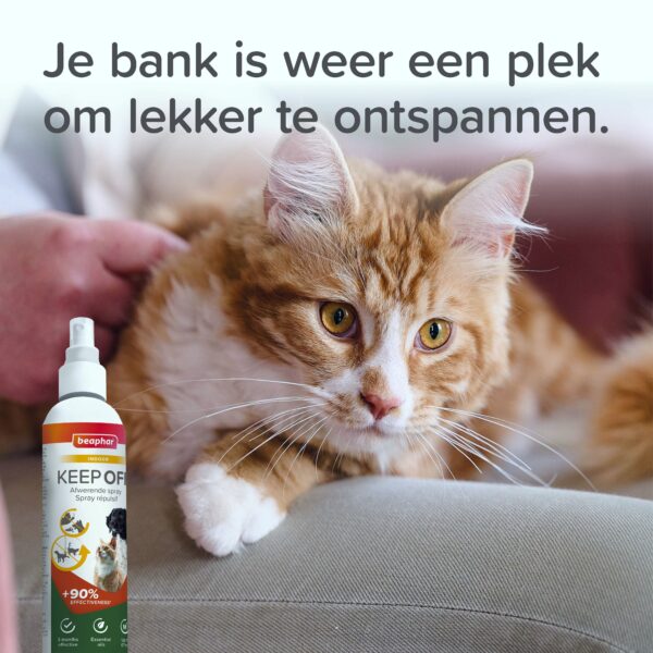 Product afbeelding