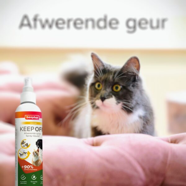 Product afbeelding